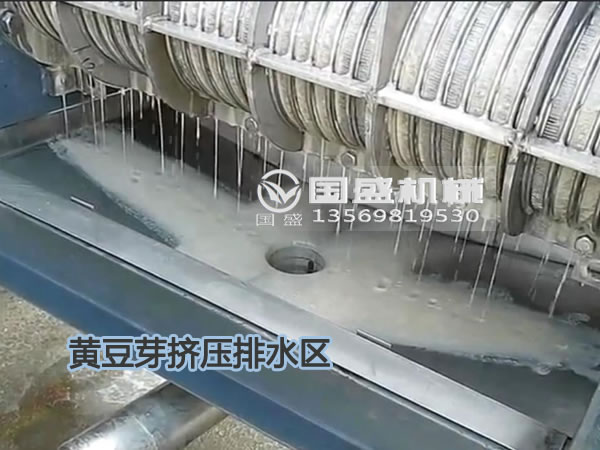 黃豆芽壓榨脫水設(shè)備 黃豆芽壓榨脫水設(shè)備