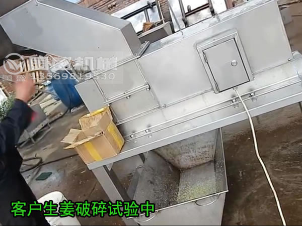 生姜破碎機(jī) 生姜破碎機(jī)