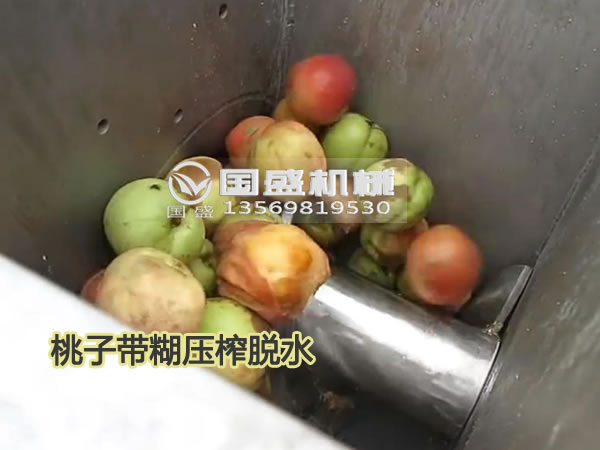桃子擠壓脫水機(jī) 桃子擠壓脫水機(jī)