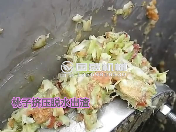 桃子固液分離機(jī) 桃子固液分離機(jī)